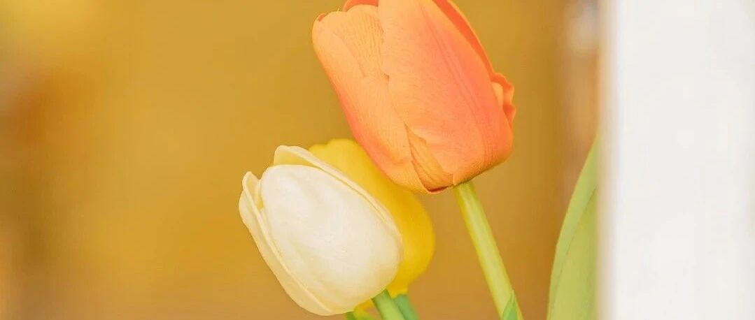 拾言丨在所有你想珍惜的关系里，问心无愧就好。