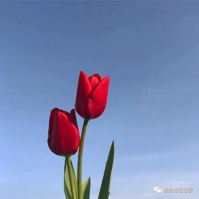 拾言丨不要以为人家总针对你，在别人的世界中，你真的不值一提。
