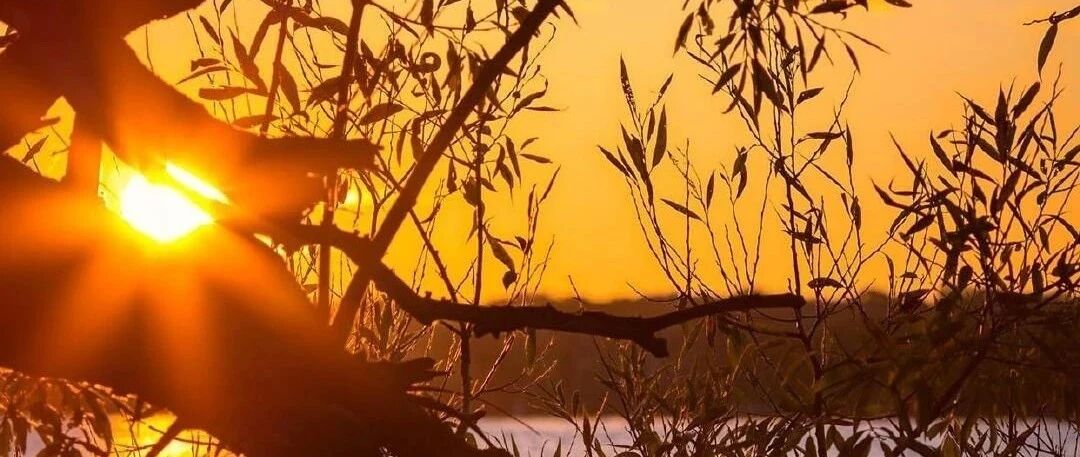 拾言丨要自我实现，先得有个自我。