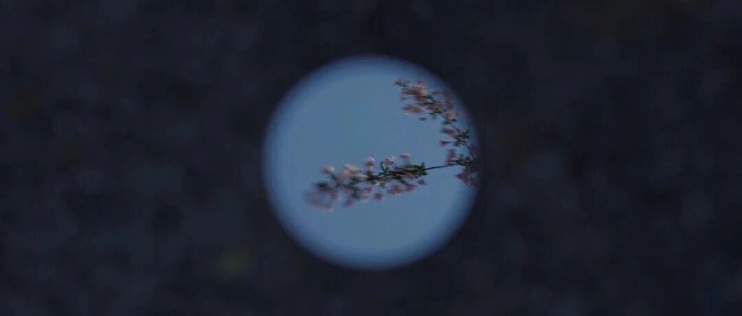 拾言丨​安全感这东西一旦炸裂，你会觉得所有人都是带刀而来。