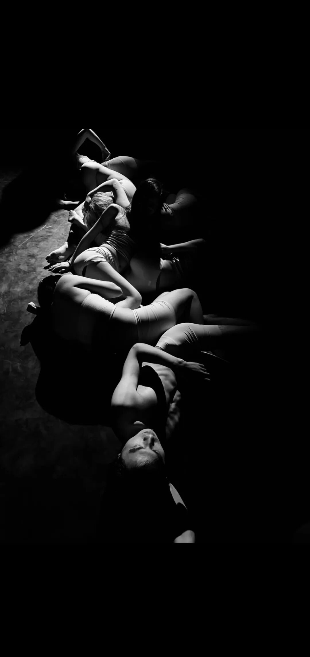 This Saturday's "P4 Theater" dance theater, "The Cocoon Room"
