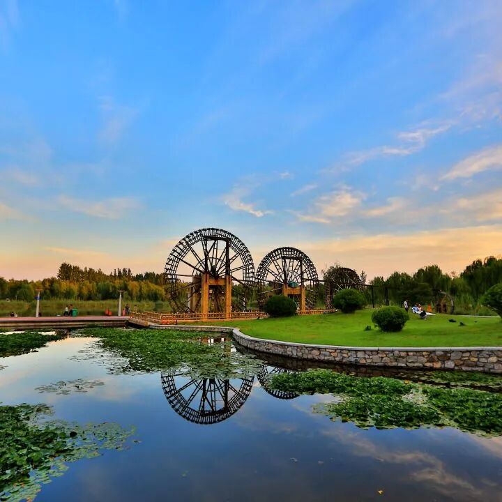 这是我的多才多艺78797077宁津杂技刚柔相济,惊险奇美德州