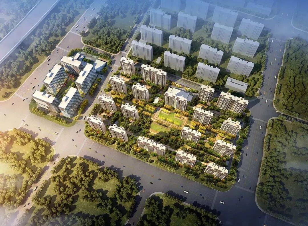 5.6亿丨三乐建设2019年中成绩单