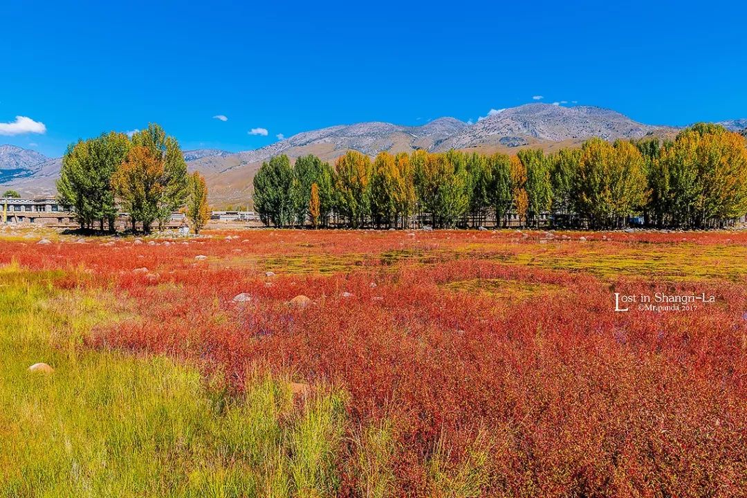 兩度登上央視，被譽為「藍色星球上最後一方淨土」！稻城亞丁憑什麼？ 旅遊 第38張