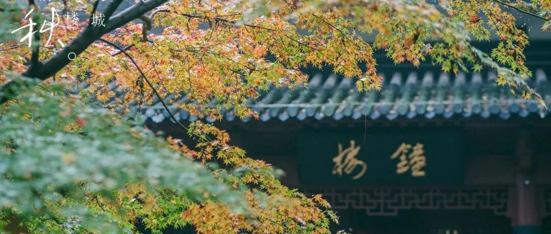 11月旅行地推荐！这些适合秋冬出发的地方，每一个都美得像张明信片！