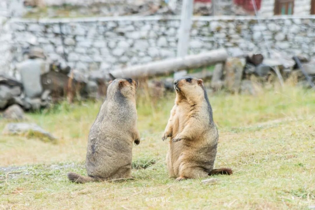 花蓮酒店推薦2019 /2019必去的15個國內小眾目的地！會玩的人已把這些地方列入旅行清單！ 旅行 第24張