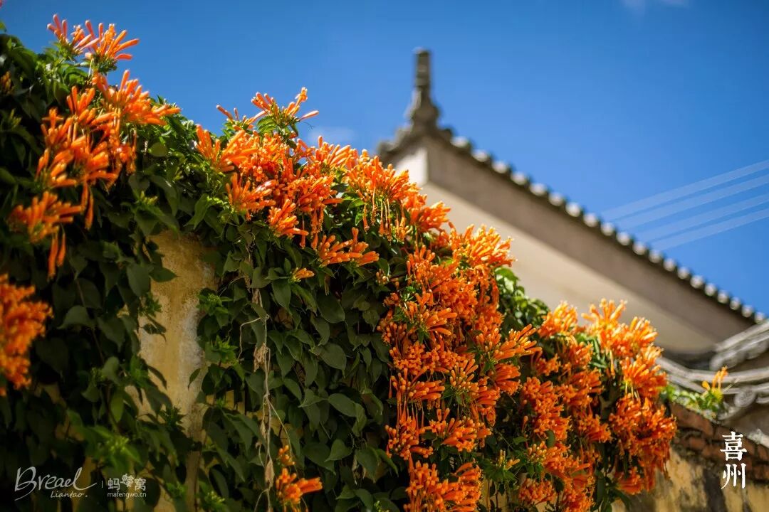 花蓮酒店推薦2019 /2019必去的15個國內小眾目的地！會玩的人已把這些地方列入旅行清單！ 旅行 第33張