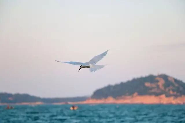 花蓮酒店推薦2019 /2019必去的15個國內小眾目的地！會玩的人已把這些地方列入旅行清單！ 旅行 第19張