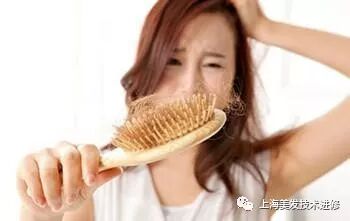 头皮问题终结者&发廊高盈利爆款项目