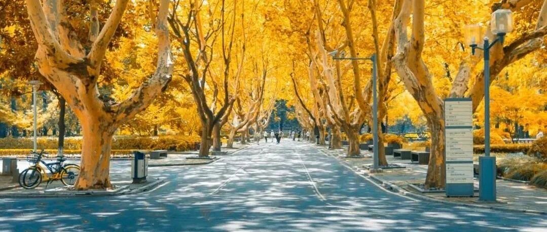 秋天最值得停留的古城，你的相册里有它吗