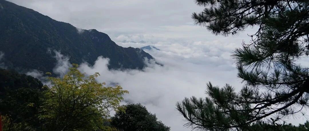 斑斓妙趣的国画武功山