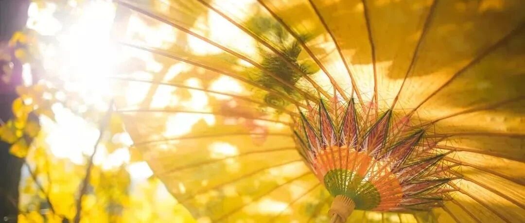 银杏只用一种颜色，就把季节渲染到极致