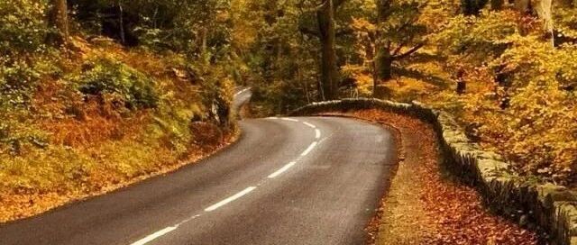 余生，想和你去看遍这些地方的秋景