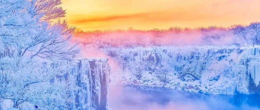 进入冬天的世界，花雪随风不厌看