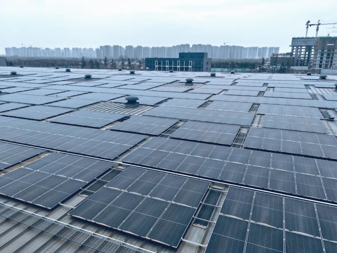 转发 | 特发集团践行绿色低碳理念，以科技创新驱动企业高质量可持续发展