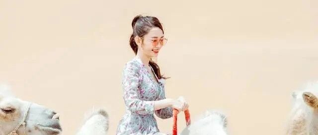 妻子团拍骆驼大片，吉娜化身大漠仙女