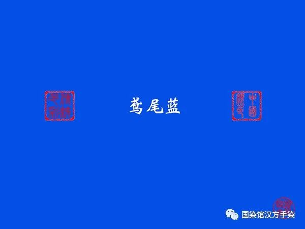 鸢尾兰_兰鸢尾花_兰鸢尾花怎么做成标本