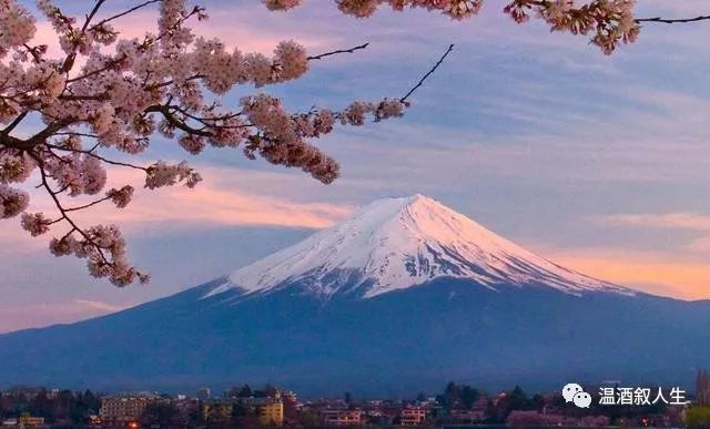 人民币兑日元暴跌 一万人民币兑换成日元，在日本能够做什么？本地美女告诉你实情