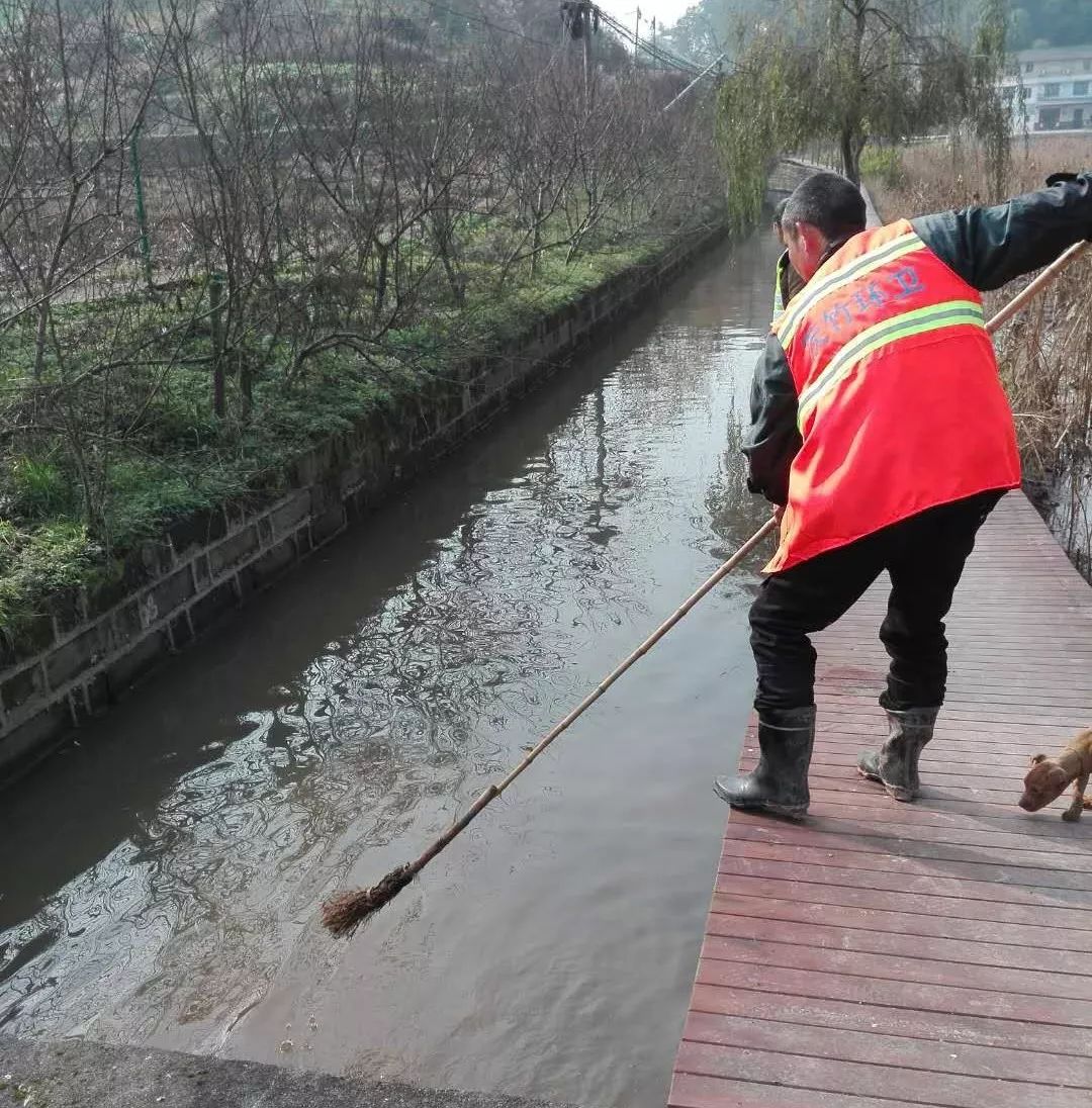 茨竹镇清扫水体污染物