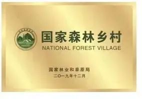 黄河岸边的旅游特色村——北市村