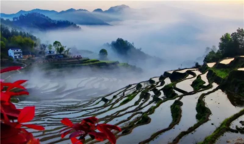 黄冈A级景区对山东医疗队员终身免票!山东人两年免票! 黄冈A级景区对山东医疗队员终身免票!山东人两年免票!