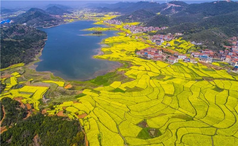 黄冈A级景区对山东医疗队员终身免票!山东人两年免票! 黄冈A级景区对山东医疗队员终身免票!山东人两年免票!