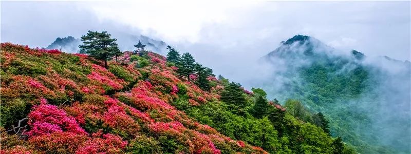 黄冈A级景区对山东医疗队员终身免票!山东人两年免票! 黄冈A级景区对山东医疗队员终身免票!山东人两年免票!