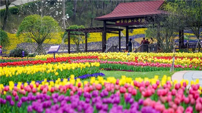 黄冈A级景区对山东医疗队员终身免票!山东人两年免票! 黄冈A级景区对山东医疗队员终身免票!山东人两年免票!