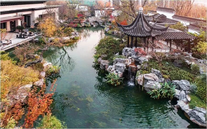 除了鼋头渚 无锡还有这些隐藏的赏春景圣地