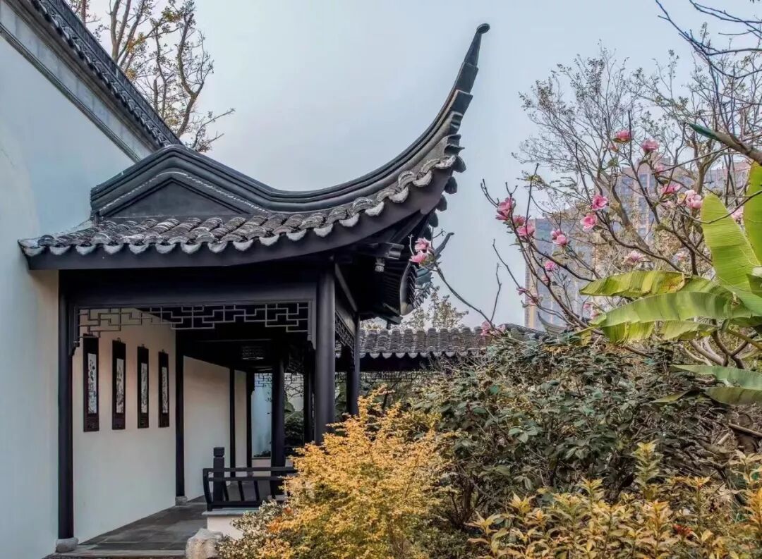 除了鼋头渚 无锡还有这些隐藏的赏春景圣地