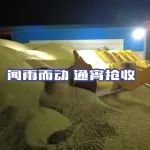 暴雨欲来  通宵达旦  唐河县完成120万亩抢收目标 | 奔跑的三夏