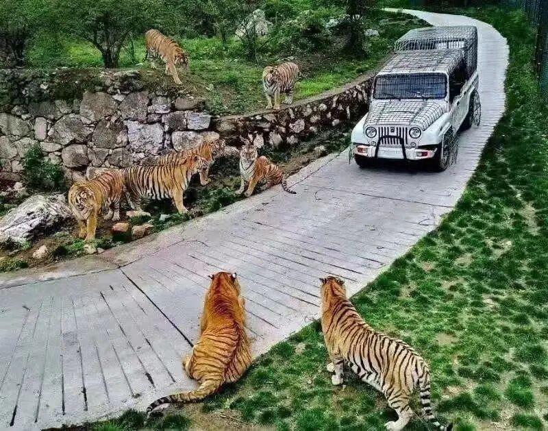 栾川县竹海野生动物园登封市观星台景区依照《旅游景区质量等级的划分