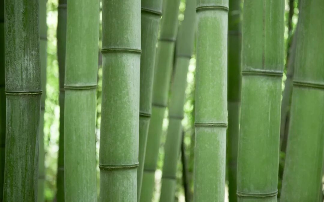 风光壁纸精选第3期(MAC苹果官方)