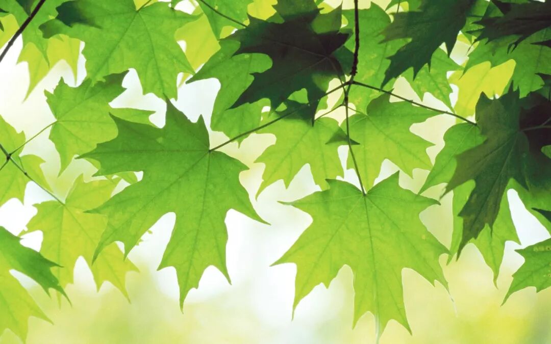 风光壁纸精选第4期(MAC苹果官方)