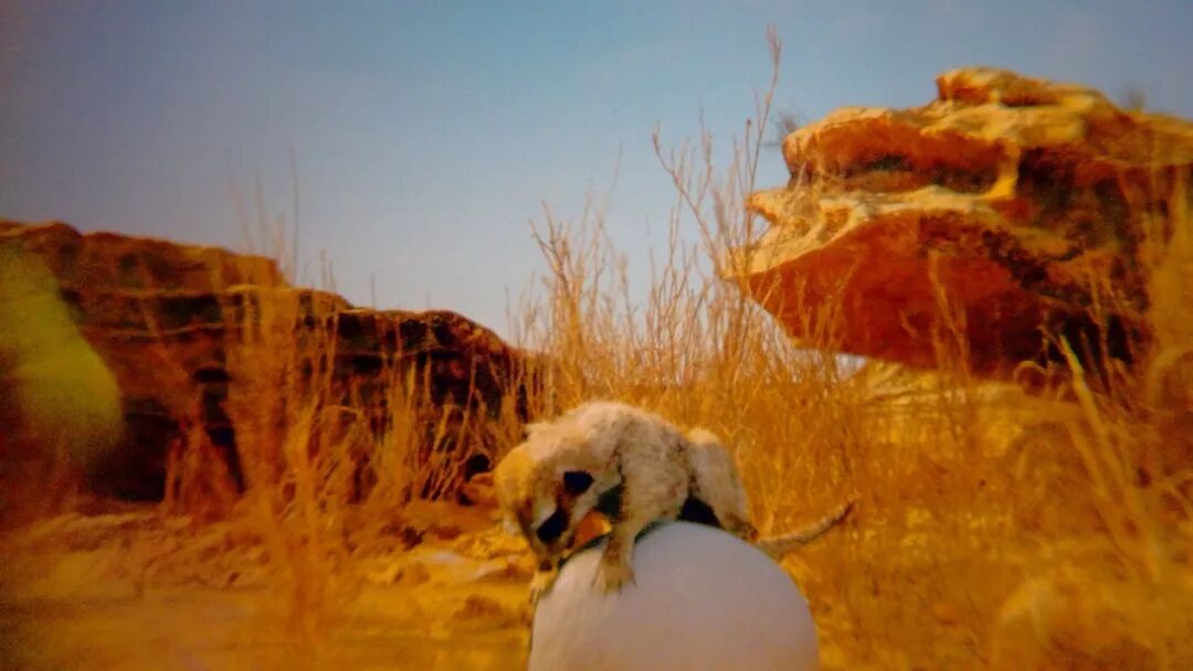 CES 2024首日汇总｜中国XR厂商集体亮相全球舞台