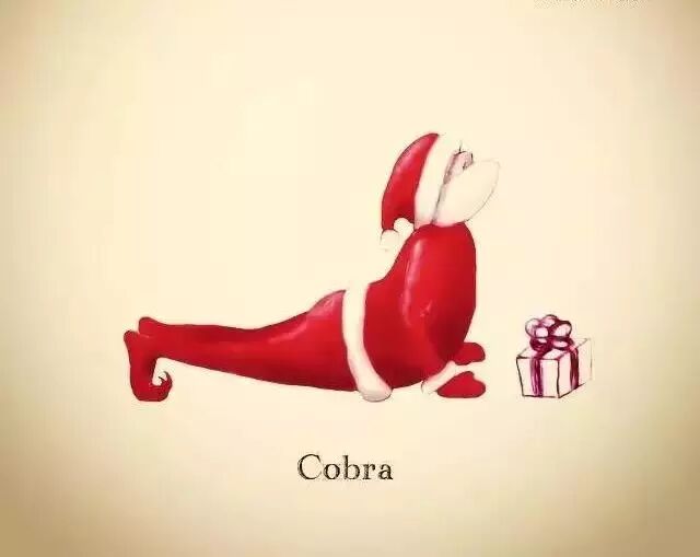 ॐ 瑜伽上犬式和眼镜蛇 你做的究竟是哪个 瑜伽知识分享 微信公众号文章阅读 Wemp