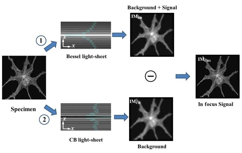 姚保利：活体样品的长时间三维成像——光片荧光显微术 行业新闻 第6张