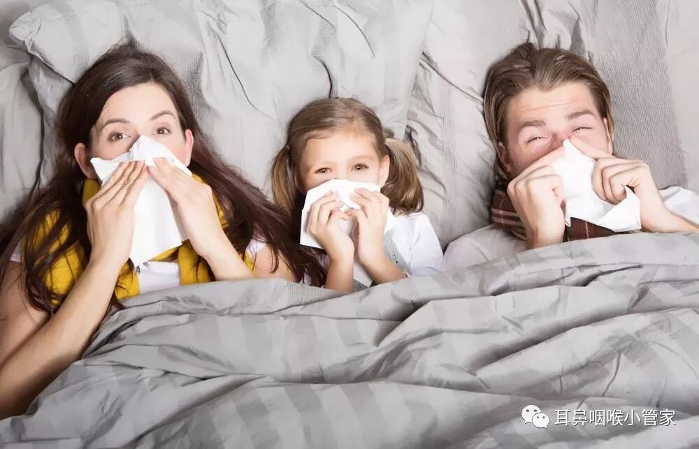 细数过敏性鼻炎危害 易导致嗅觉失灵