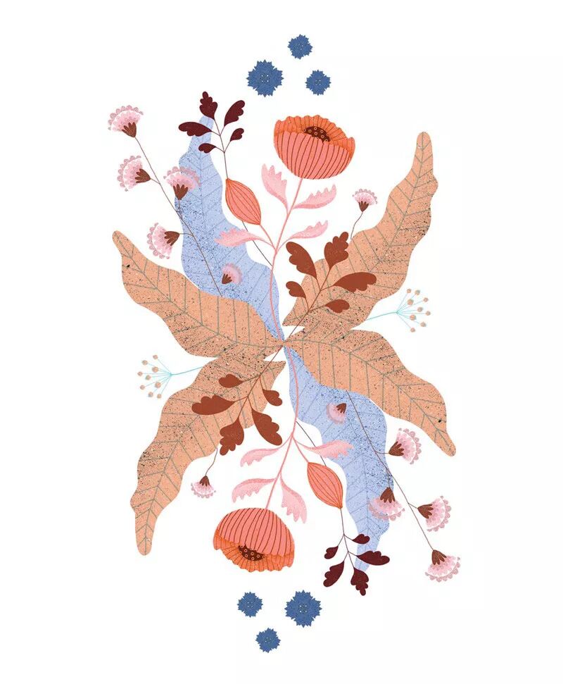 Anna Rudak 装饰插画欣赏