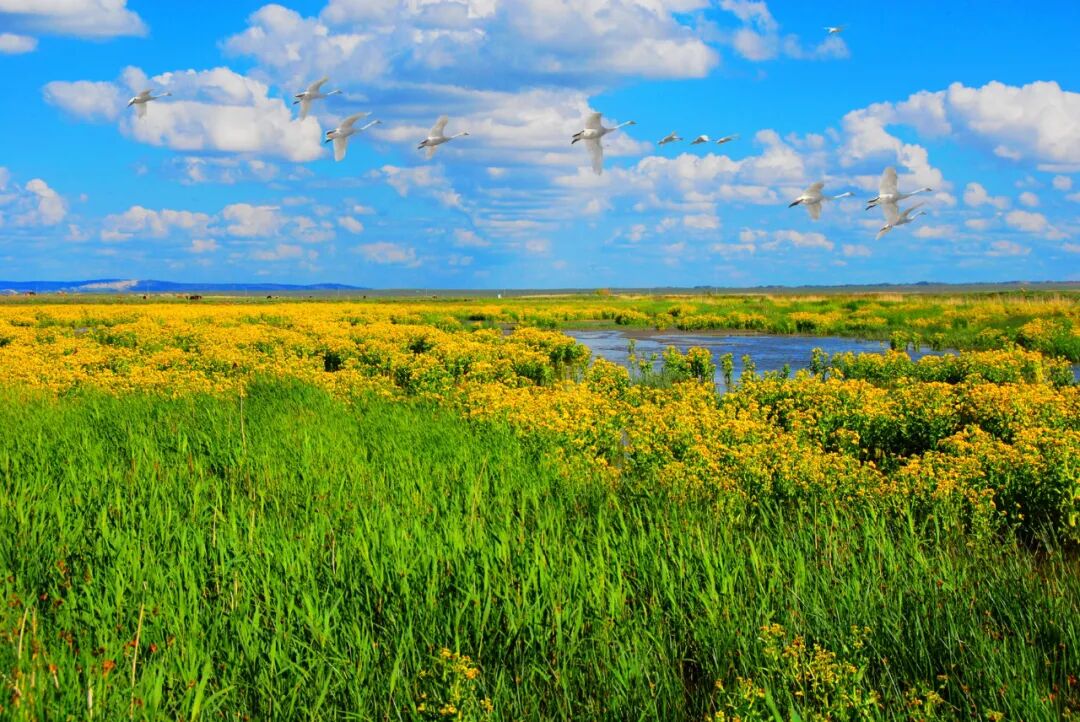 阿勒泰是远方,赤峰就是那首心中的诗——我在达里湖等你