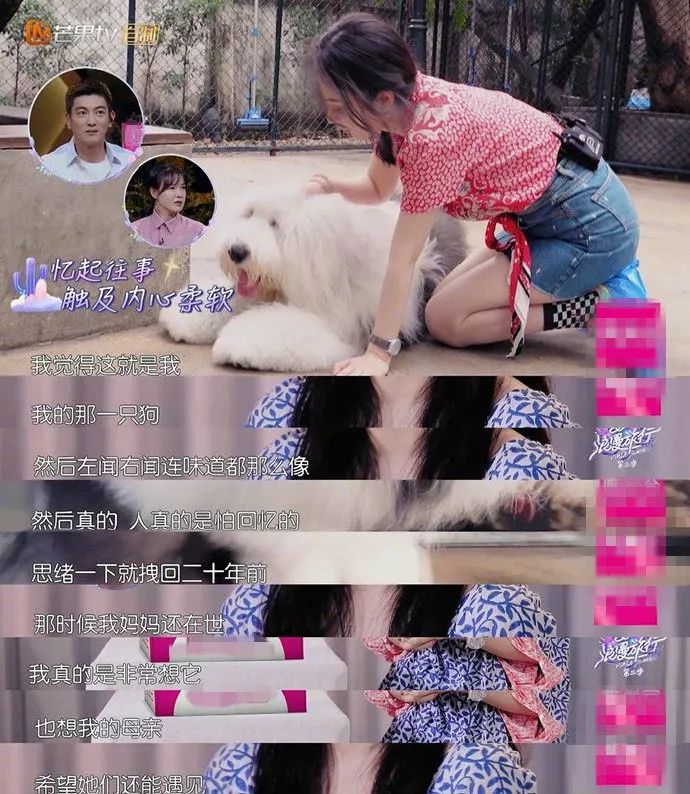 又一鏟屎官預大價錢克隆愛犬，狗子，不僅僅是陪伴 寵物 第6張