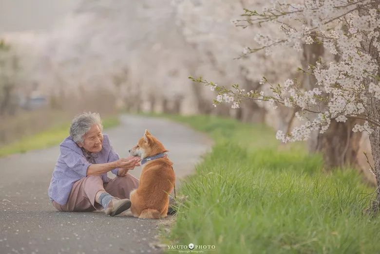 86 歲奶奶和柴犬共度餘生，一張圖片暖哭 34 萬網友，看完瞬間被治愈了… 未分類 第8張