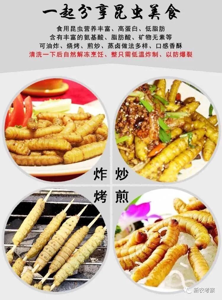 白糖是什么原料做出来的 黄豆大虫是怎么做，哪里选购。