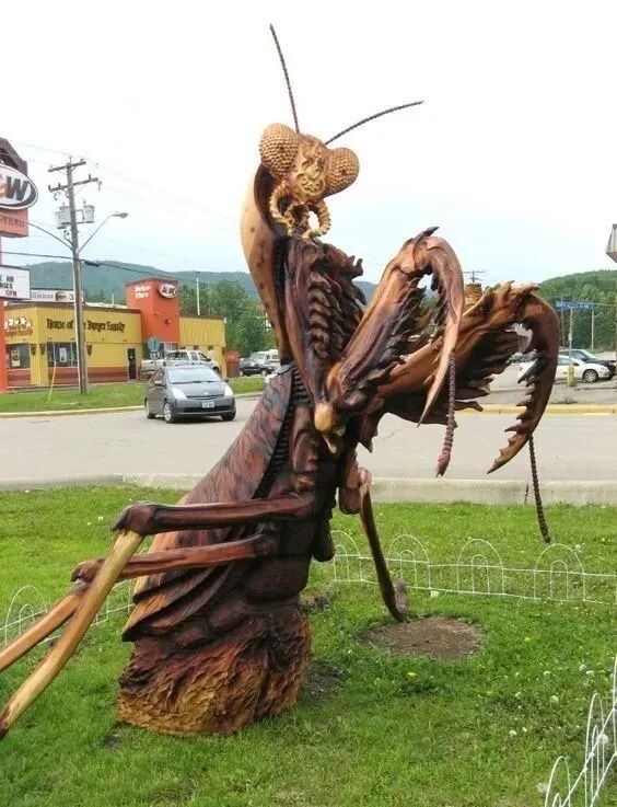 怪雕，各有风情！