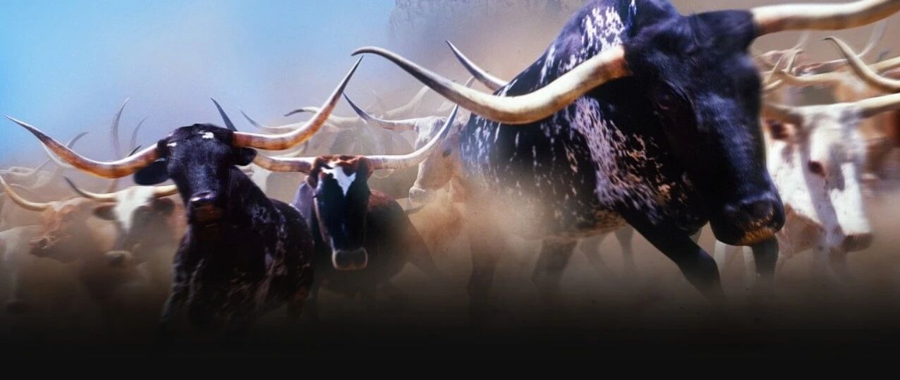 证监会副主席：困扰A股的“牛短熊长”正在消失（附下周日历）