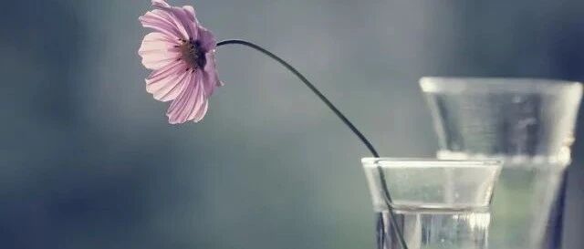 情人节：爱情 ，就像是一个词