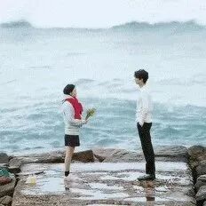 鸢尾花 || 要不要爱上，一个人对你的好？