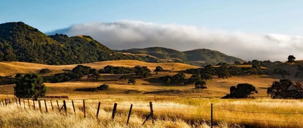 愿日子：明彻无染，静月无瑕，时光安恬，心苒自闲