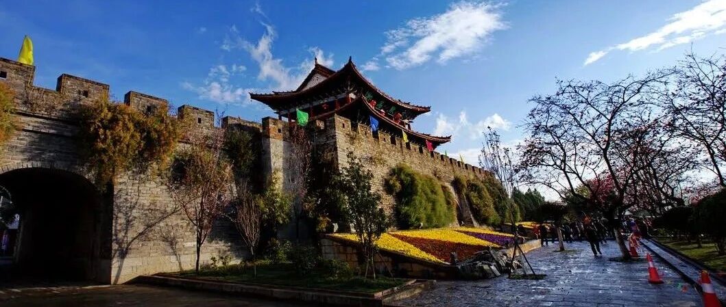 鸢尾花：有一种相逢，在大理古城