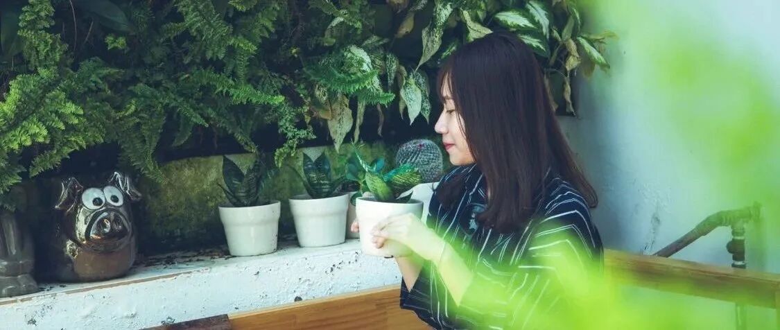 此岸花开，彼岸花落